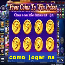 como jogar na lotinha do jogo do bicho